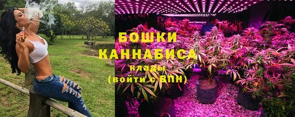 хмурый Горно-Алтайск